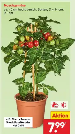 Netto Marken-Discount Cherry tomato Angebot