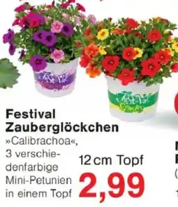 Jawoll Festival Zauberglöckchen Angebot