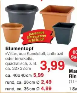 Jawoll Blumentopf Angebot
