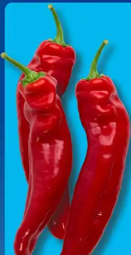 Aldi Süd Rote Spitzpaprika Angebot