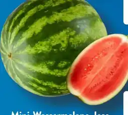 Aldi Süd Mini-Wassermelone Angebot