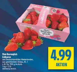 diska Mein Beerenglück Erdbeeren Angebot
