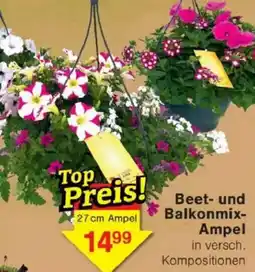 Jawoll Beet- und Balkonmix- Ampel Angebot