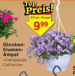 Jawoll Glockenblumen- Ampel Angebot