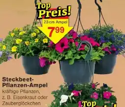 Jawoll Steckbeet- Pflanzen-Ampel Angebot