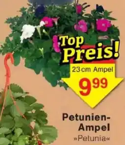 Jawoll Petunien Ampel Angebot