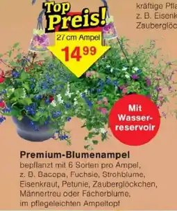Jawoll Premium-Blumenampel Angebot
