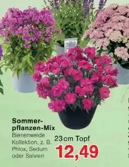 Jawoll Sommerpflanzen-Mix Angebot