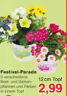 Jawoll Festival-Parade Angebot