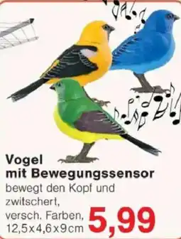 Jawoll Vogel mit Bewegungssensor Angebot