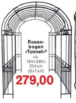 Jawoll Rosenbogen Tunnel Angebot
