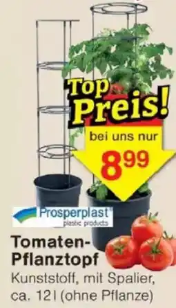 Jawoll Prosperplast Tomaten- Pflanztopf Angebot