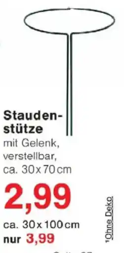 Jawoll Staudenstütze Angebot