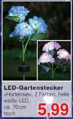 Jawoll LED-Gartenstecker Angebot