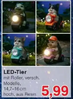 Jawoll LED-Tier Angebot
