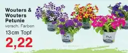 Jawoll Wouters & Wouters Petunie Angebot