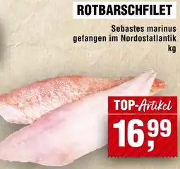 Handelshof Rotbarschfilet Angebot