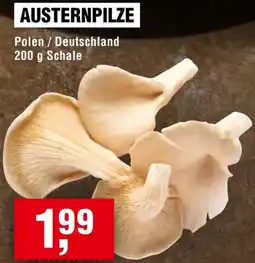 Handelshof Austernpilze Angebot