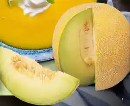Handelshof Galia-melone Angebot
