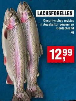 Handelshof Lachsforellen Angebot