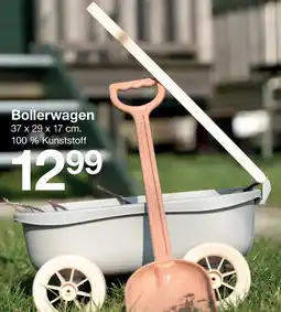 Zeeman Bollerwagen Angebot