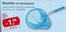 Sonderpreis Baumarkt Kescher mit Teleskopstiel Angebot