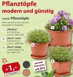 Sonderpreis Baumarkt versch. Pflanztöpfe 1. "Plastica" Angebot