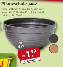 Sonderpreis Baumarkt Pflanzschale ,,Misa" Angebot