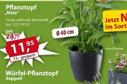 Sonderpreis Baumarkt Pflanztopf ,,Mate" Angebot