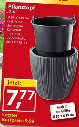 Sonderpreis Baumarkt Pflanztopf "Oro" Angebot