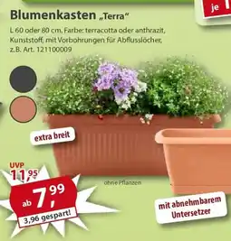 Sonderpreis Baumarkt Blumenkasten ,,Terra" Angebot