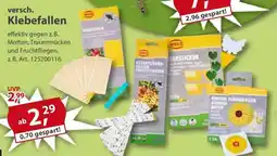 Sonderpreis Baumarkt Weco versch. Klebefallen Angebot