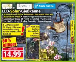 Norma LED-Solar Gießkanne Angebot