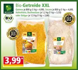 Norma Bio-Getreide XXL Angebot