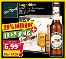 Norma Lagerbier Angebot