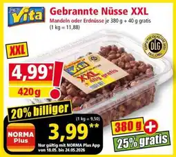 Norma Gebrannte Nüsse XXL Angebot