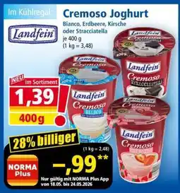 Norma Cremoso Joghurt Angebot