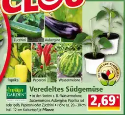 Norma Veredeltes Südgemüse Angebot