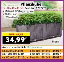 Norma Pflanzkübel Angebot