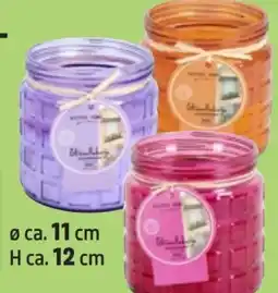 Thomas Philipps Duftkerze Citronella Angebot