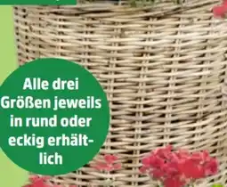 Thomas Philipps Weidenkorb Angebot
