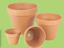 Thomas Philipps Terrakotta Blumentopf Angebot