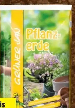 Thomas Philipps Grüner Jan Pflanzerde Angebot
