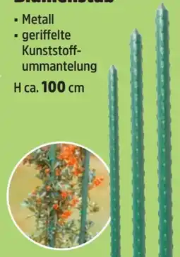 Thomas Philipps Metall-Blumenstab Angebot