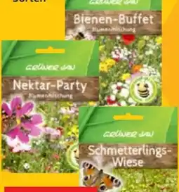 Thomas Philipps Grüner Jan Saatgut Angebot