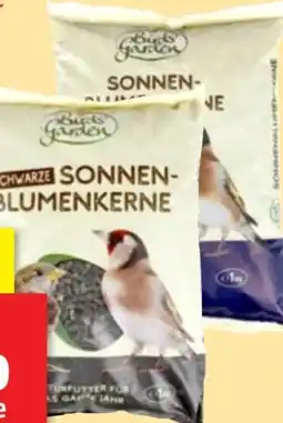 Thomas Philipps Bird's Garden Sonnenblumenkerne Angebot
