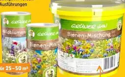 Thomas Philipps Grüner Jan Bienen-Mischung Angebot