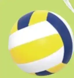 Thomas Philipps Volleyball Angebot