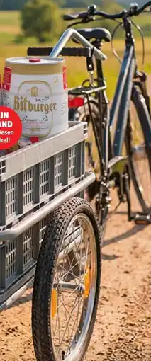 Thomas Philipps Lasten-Fahrradanhänger Angebot