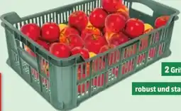 Thomas Philipps Obst-Gemüsekiste Angebot